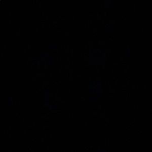 Meet your Posher, Chynna